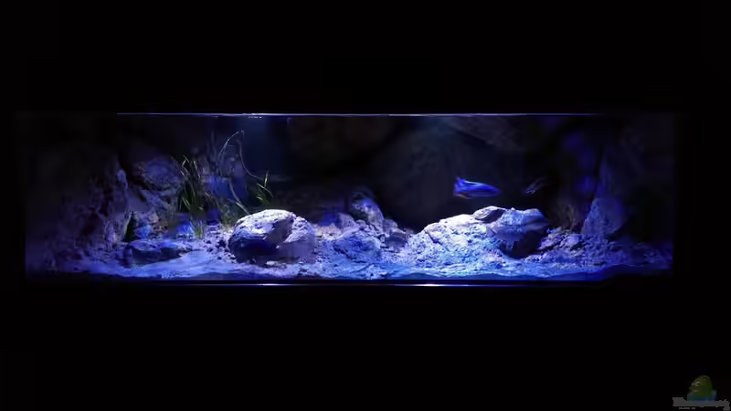 Aquarium Becken 31627 von namaycushfreak (2)