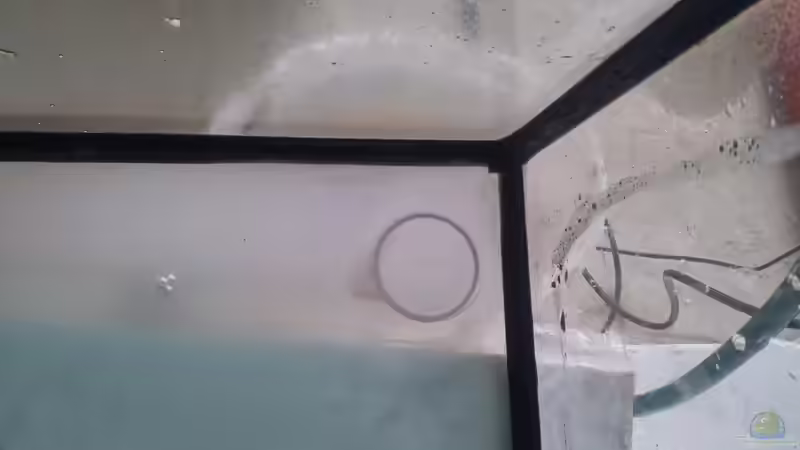 Aquarium Becken 31764 von Oliver Boden (15)