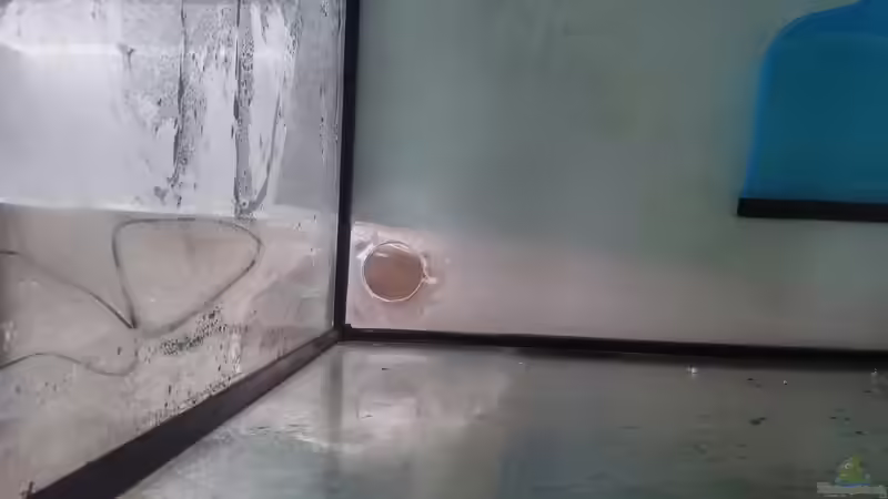 Aquarium Becken 31764 von Oliver Boden (17)