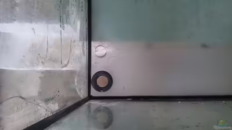 Aquarium Becken 31764 von Oliver Boden (18)