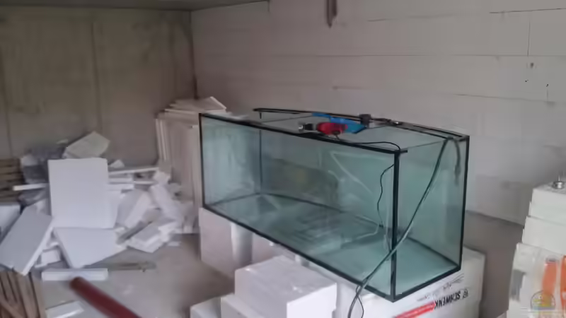 Aquarium Becken 31764 von Oliver Boden (19)