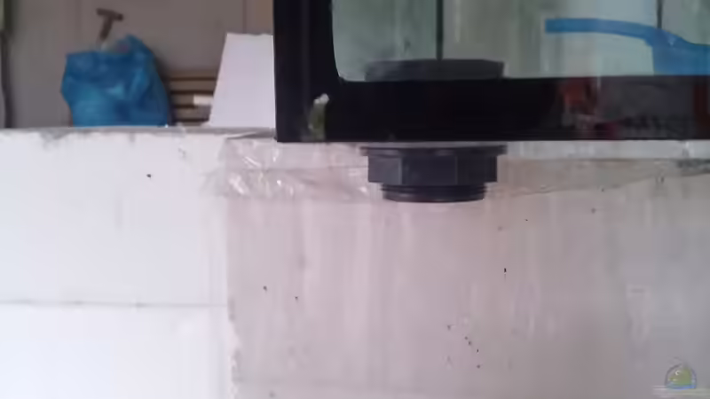 Aquarium Becken 31764 von Oliver Boden (21)