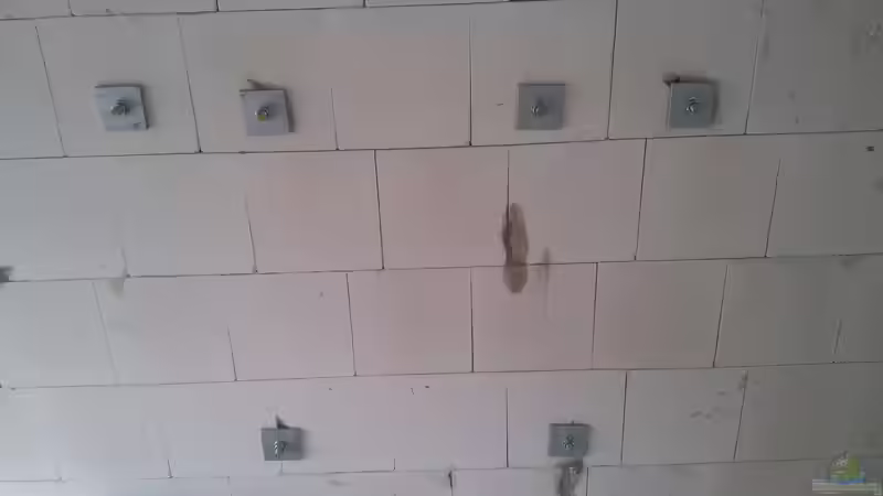 Aquarium Becken 31764 von Oliver Boden (40)