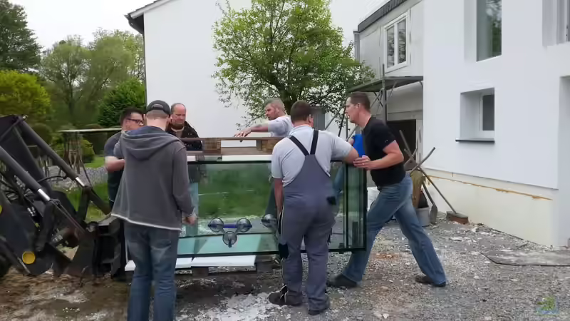 Aquarium Becken 31764 von Oliver Boden (48)