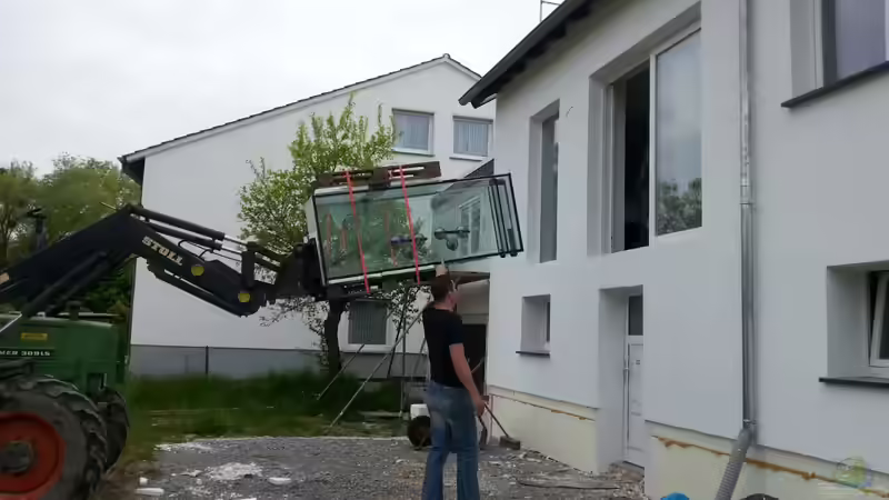 Aquarium Becken 31764 von Oliver Boden (49)