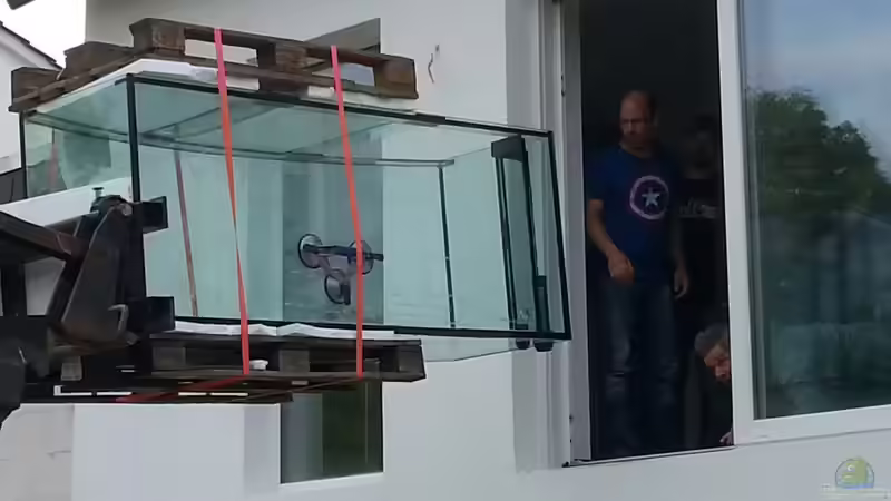 Aquarium Becken 31764 von Oliver Boden (50)