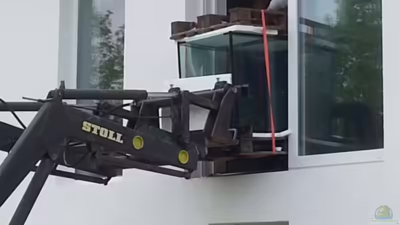 Aquarium Becken 31764 von Oliver Boden (52)