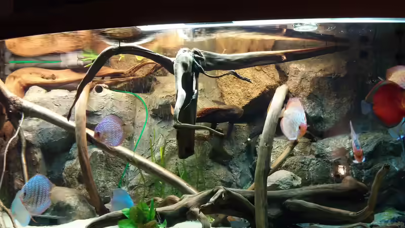 Aquarium Becken 31764 von Oliver Boden (9)