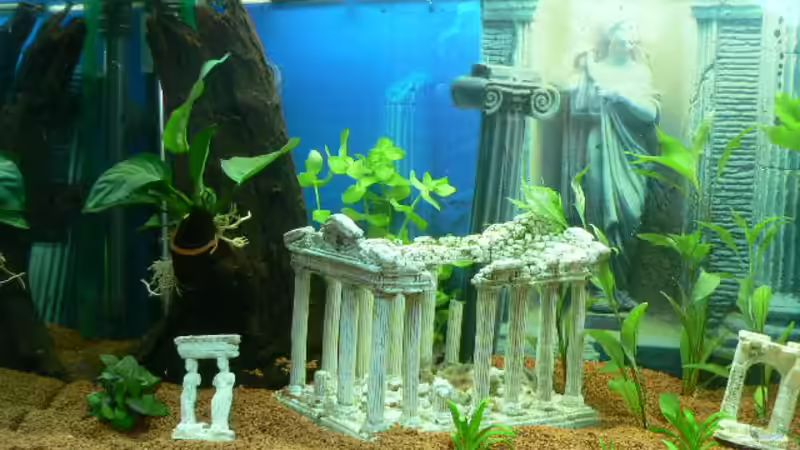 Aquarium Becken 3177 von Peter Giesbrecht (2)