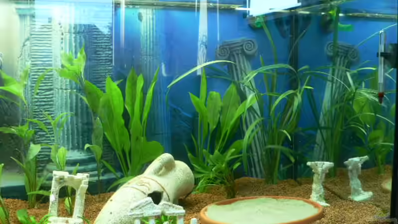 Aquarium Becken 3177 von Peter Giesbrecht (3)