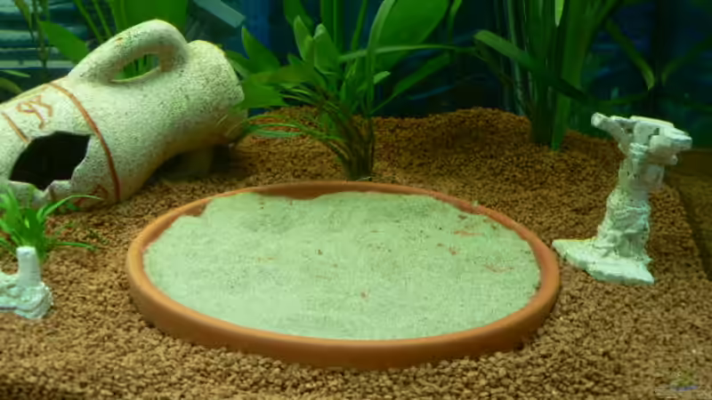 Aquarium Becken 3177 von Peter Giesbrecht (4)