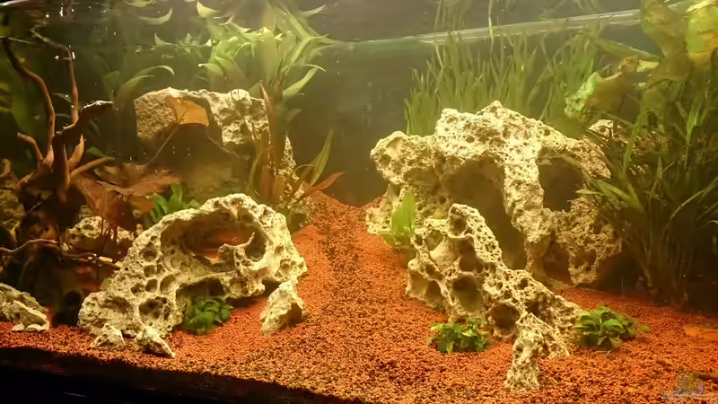 Aquarium Becken 32009 von Mano (5)