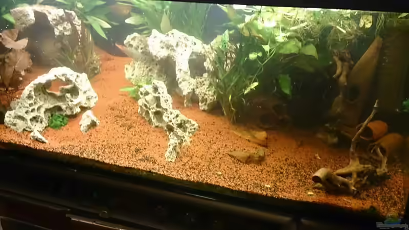 Aquarium Becken 32009 von Mano (7)