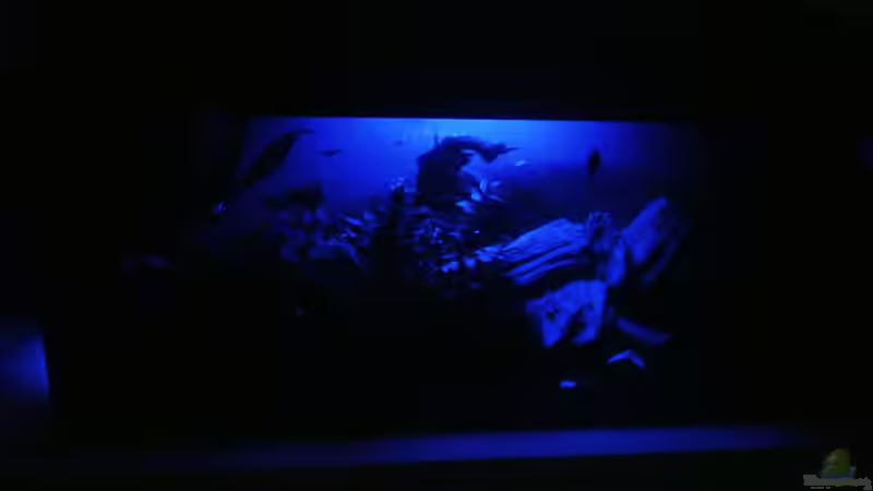 Aquarium Becken 32068 von Beba (2)