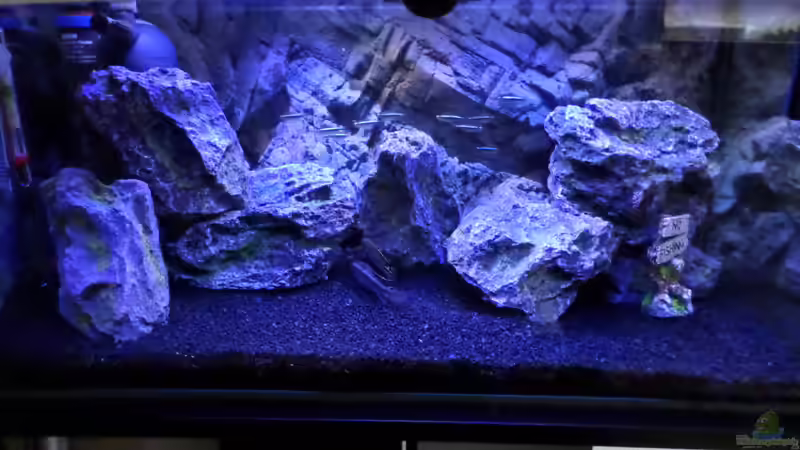 Aquarium Becken 32103 von Hans-Hubert (2)