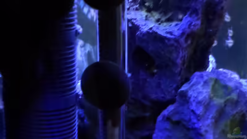 Aquarium Becken 32103 von Hans-Hubert (3)