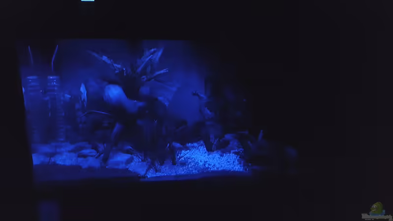 Aquarium Becken 32241 von Huni (4)