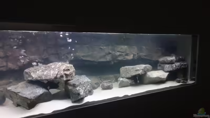 Aquarium Becken 32521 von Jens Teichert (2)