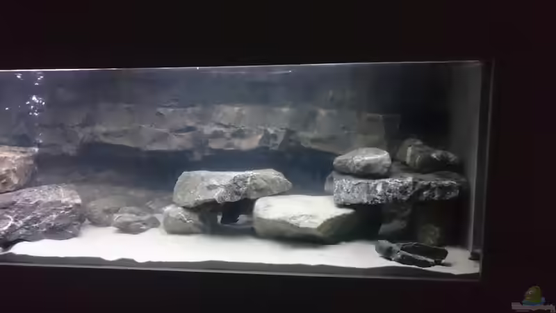Aquarium Becken 32521 von Jens Teichert (3)