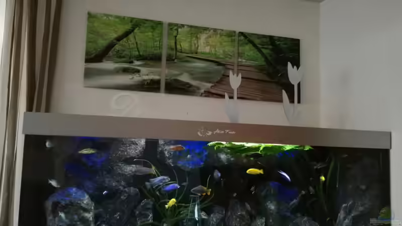 Aquarium Becken 32689 von Heike Fuchs (3)