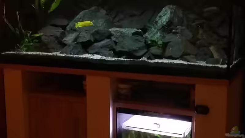 Aquarium Becken 32694 von Guido Studtrucker (2)