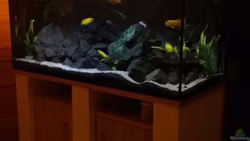 Aquarium Becken 32694 von Guido Studtrucker (3)