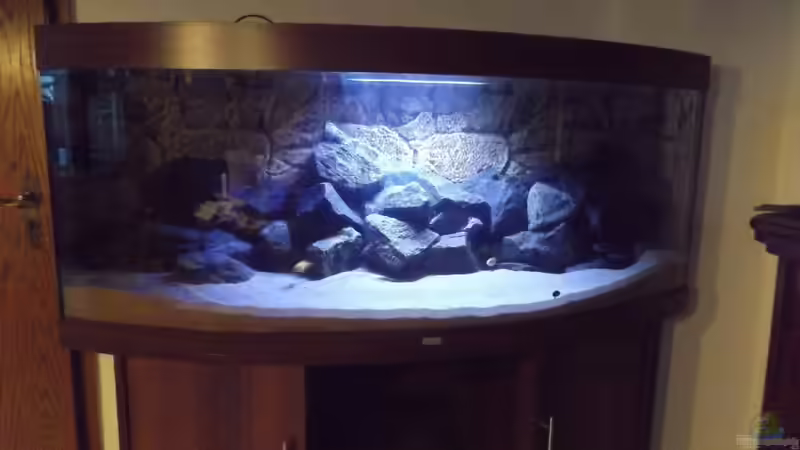 Aquarium Becken 32731 von O-Conner (10)