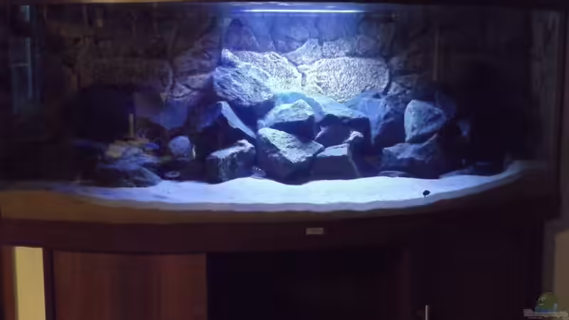 Aquarium Becken 32731 von O-Conner (11)