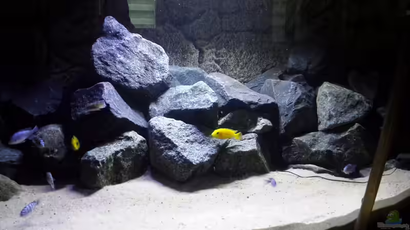 Aquarium Becken 32731 von O-Conner (13)