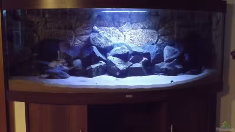 Aquarium Becken 32731 von O-Conner (9)