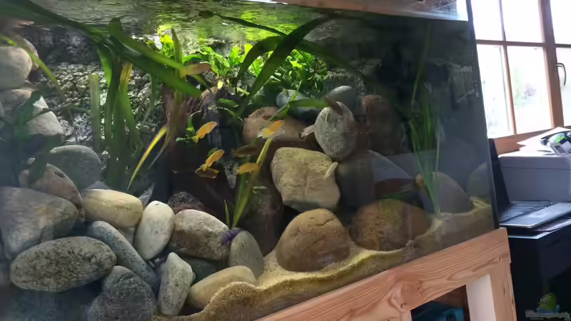 Aquarium Becken 32776 von Masda (8)