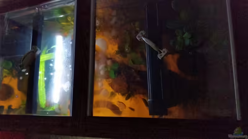 Aquarium Becken 33061 von SvenDerGroße (8)