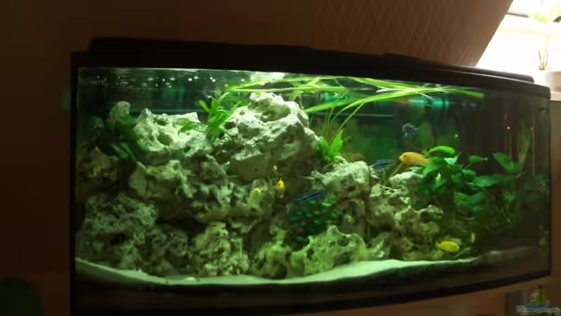 Aquarium Becken 3310 von Adrian Möker (2)