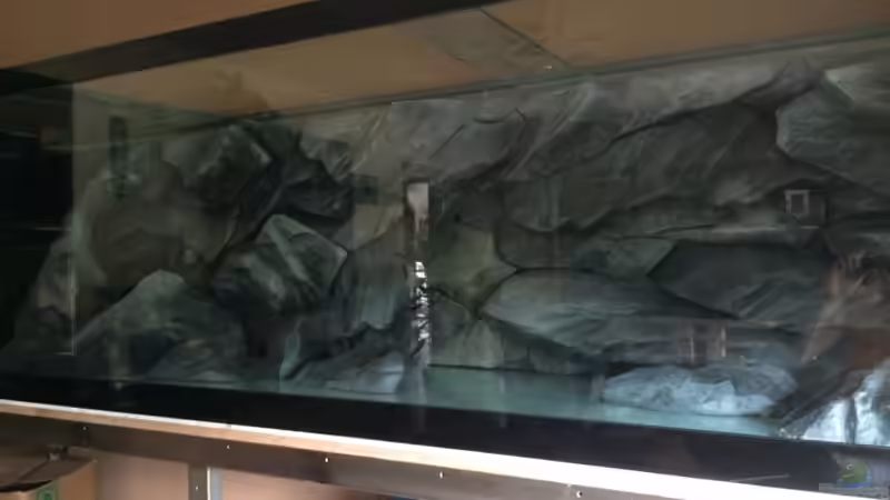 Aquarium Becken 33264 von Matze0815 (12)