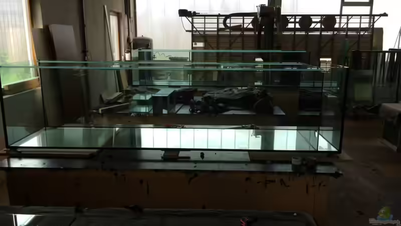 Aquarium Becken 33264 von Matze0815 (4)