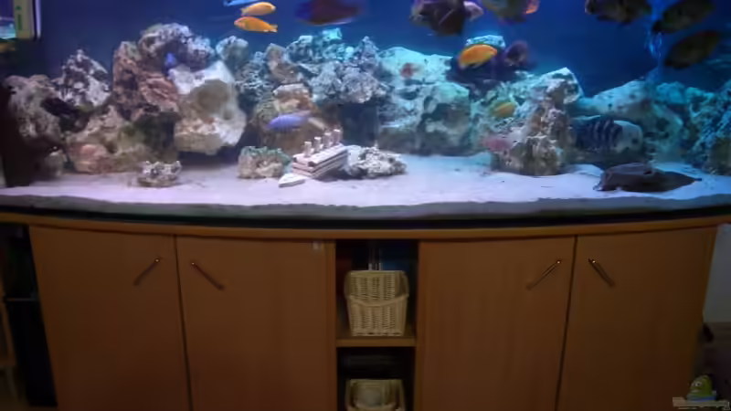 Aquarium Becken 3333 von Stephan Krammer (2)