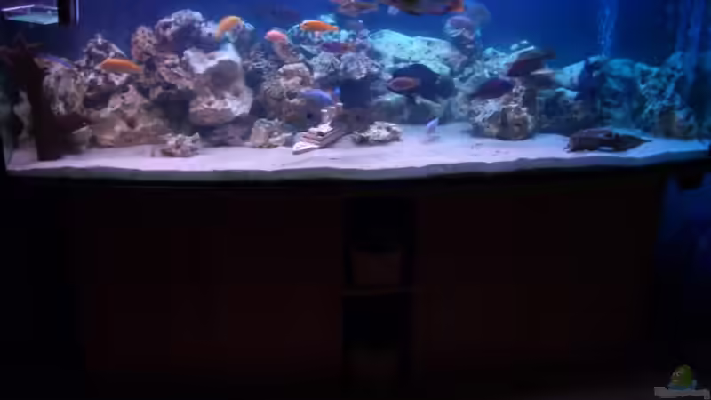 Aquarium Becken 3333 von Stephan Krammer (3)