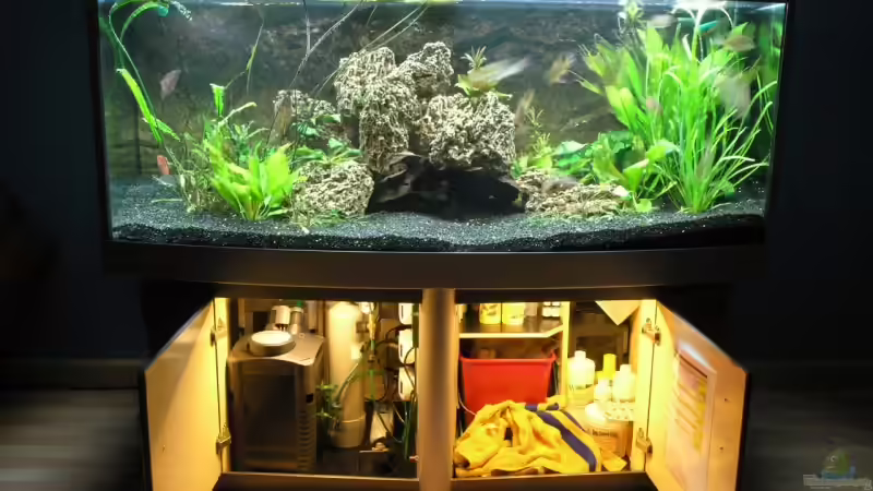 Aquarium Becken 3340 von Daniel Schaefer (5)