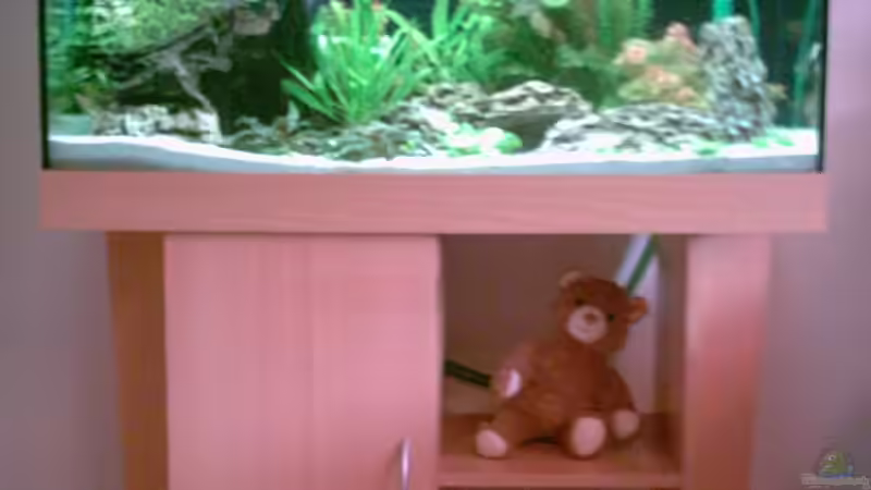 Aquarium Becken 3345 von Micha WB (2)