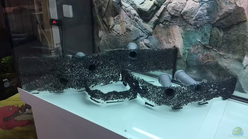 Aquarium Becken 33471 von Olaf Brandt (3)