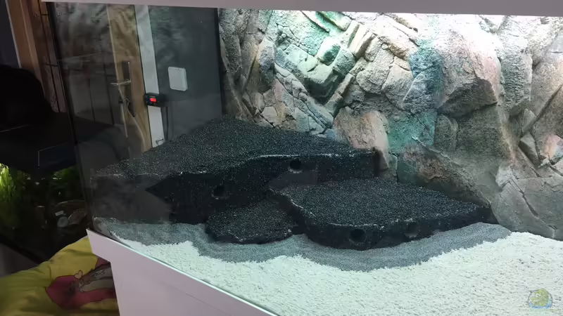 Aquarium Becken 33471 von Olaf Brandt (4)