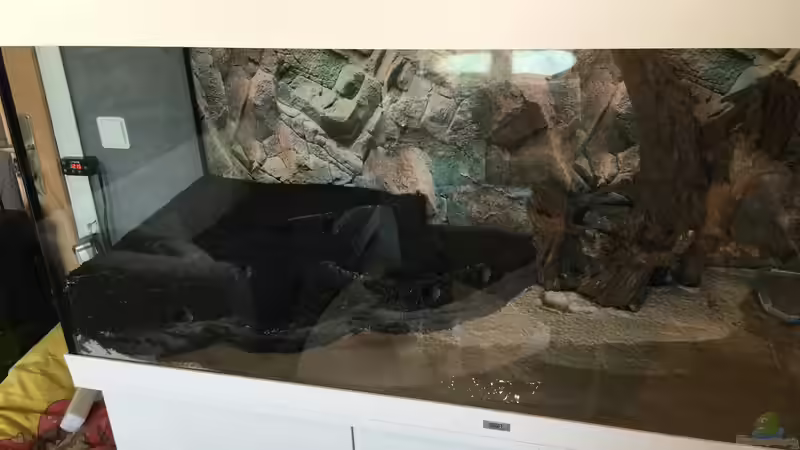 Aquarium Becken 33471 von Olaf Brandt (6)