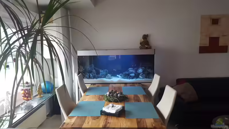 Aquarium Becken 33501 von ehemaliger User (1)