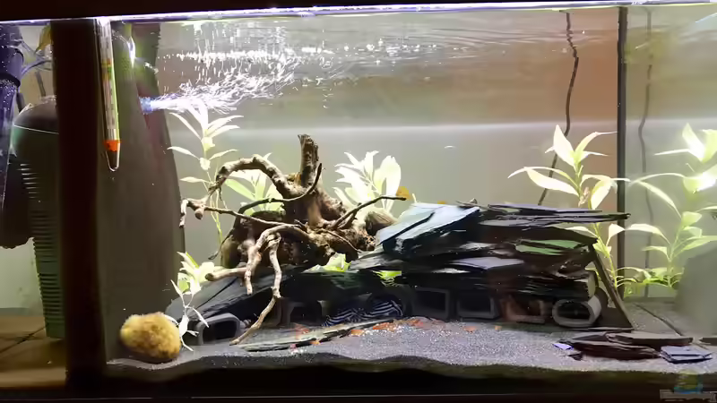 Aquarium Becken 33524 - Klein aber fein von eesee (2)