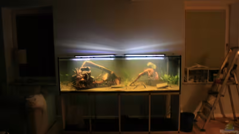Aquarium Becken 33581 von Bawitdaba (10)