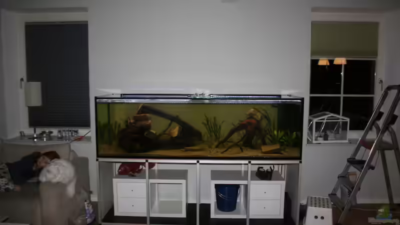 Aquarium Becken 33581 von Bawitdaba (11)