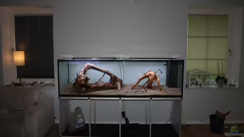 Aquarium Becken 33581 von Bawitdaba (7)