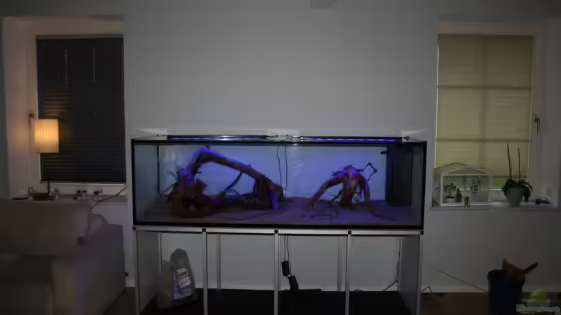 Aquarium Becken 33581 von Bawitdaba (8)