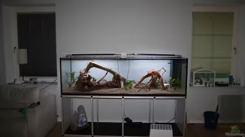 Aquarium Becken 33581 von Bawitdaba (9)