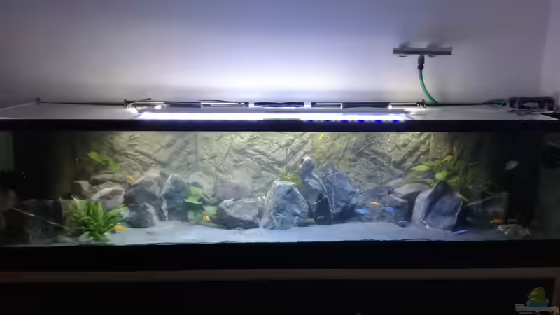 Aquarium Becken 33718 von Andreas Rieger (10)